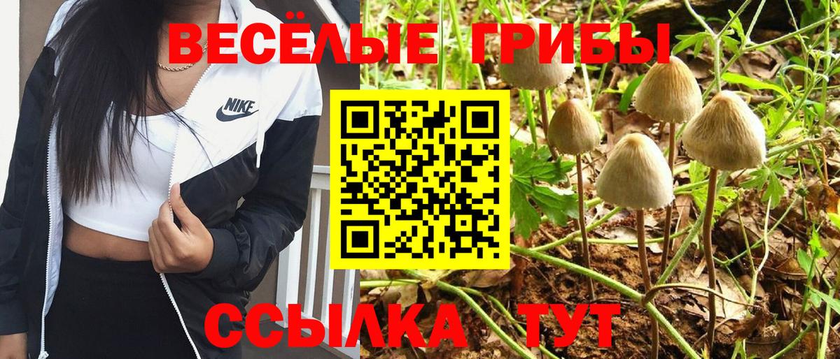 Галлюциногенные грибы ЛСД Тулун