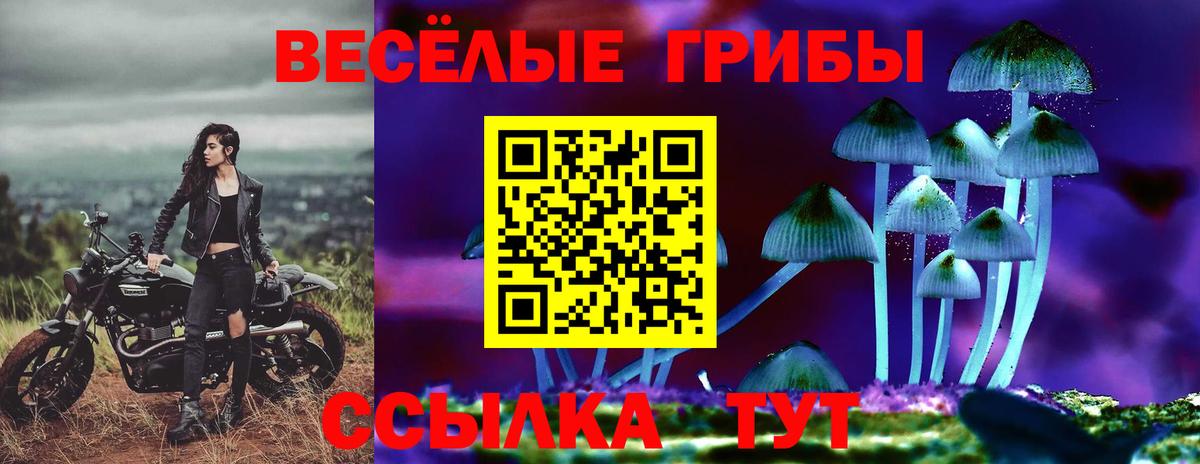 Тулун  Псилоцибиновые грибы MAGIC MUSHROOMS  Вход с VPN 